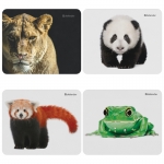 Коврик для мыши Defender Silver opti-laser пластиковый (220х180х0,4мм) Коврик для мыши Defender Silver opti-laser пластиковый (220х180х0,4мм)